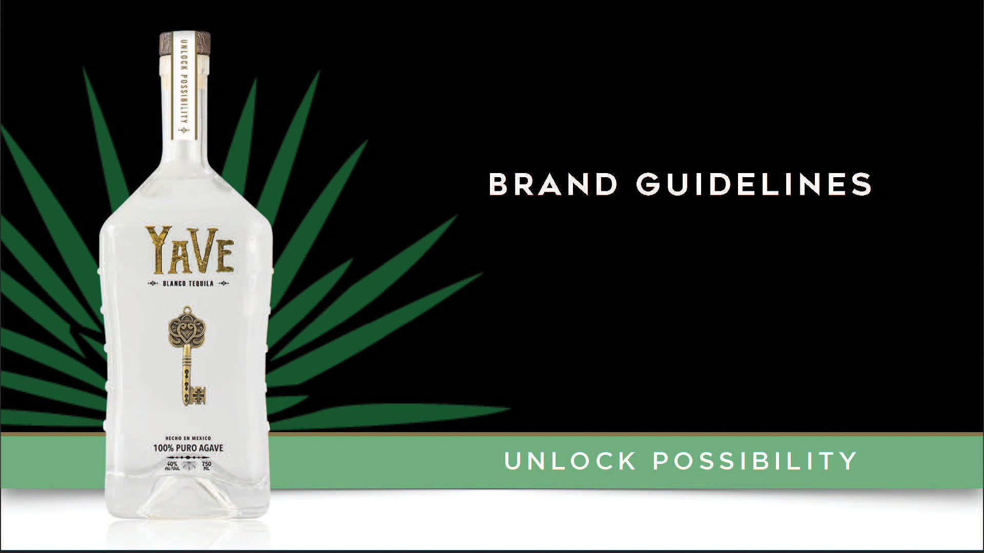 YaVe_Tequila_Brand_Guidelines__Cover_01